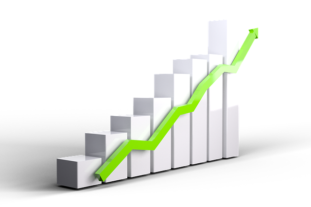 Growth rising house prices